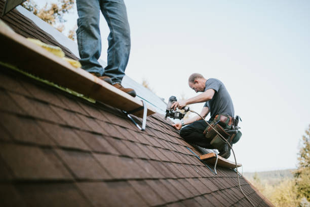 Roof Gutter Cleaning in Chuluota, FL